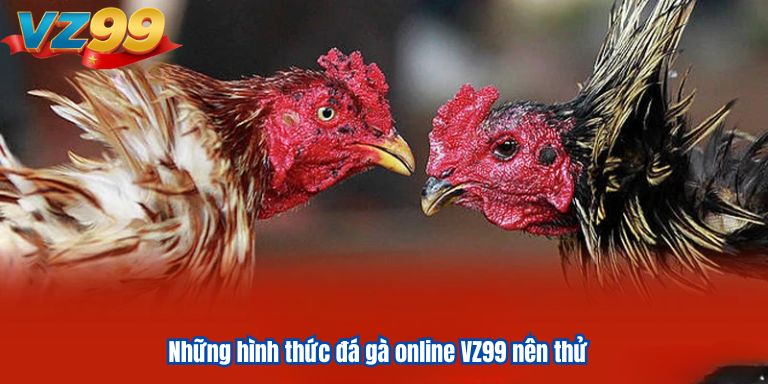 Những hình thức đá gà online VZ99 nên thử