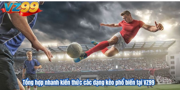 Tổng hợp nhanh kiến thức các dạng kèo phổ biến tại VZ99