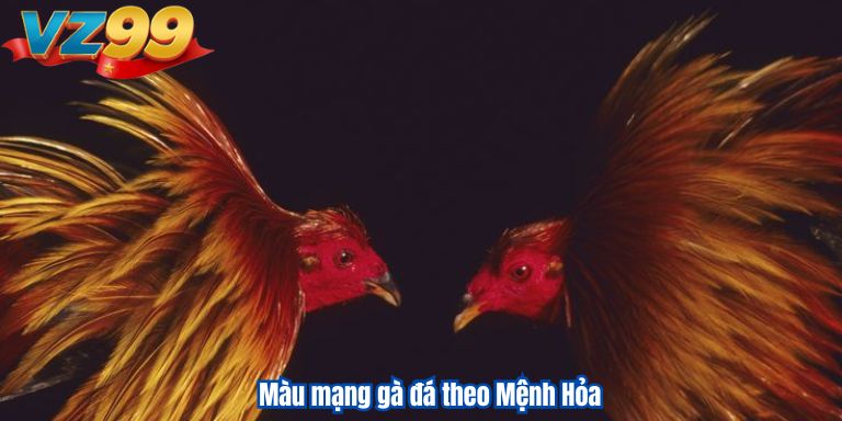 Cách Xem Màu Mạng Gà Đá Chuẩn, Giúp Ích 2025 4 Màu mạng gà đá theo Mệnh Hỏa