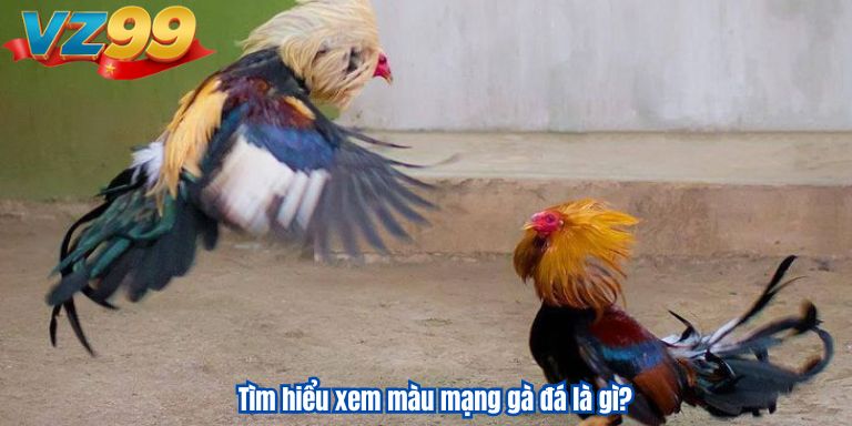 Cách Xem Màu Mạng Gà Đá Chuẩn, Giúp Ích 2025 2 Tìm hiểu xem màu mạng gà đá là gì?