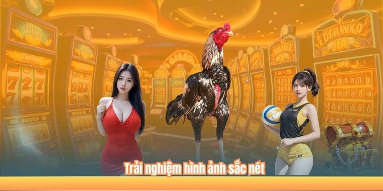 Đá Gà Trực Tiếp Thomo – Những Điều Cần Biết 3 Trải nghiệm hình ảnh sắc nét